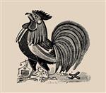 rooster