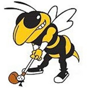 AHHS Golf