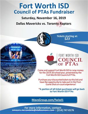 mavscouncilflyer 