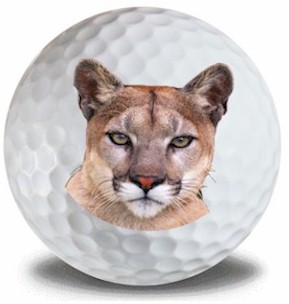 CougarGolf