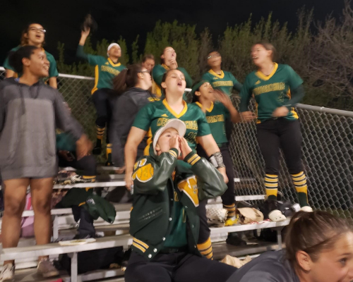 SoftballGirls 