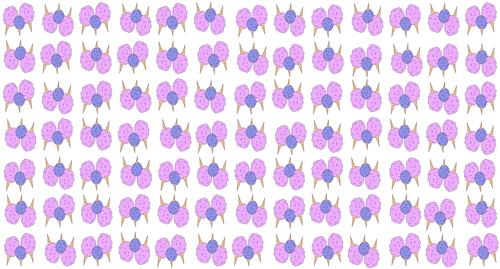 Madison Pattern 