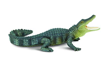 See you later, Alligator...and other fun ways to say "goodbye"