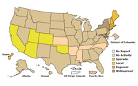 CDC Current US Flu Activity 