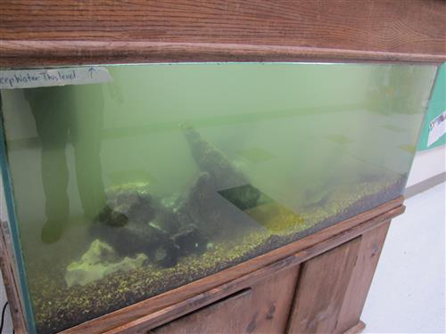 cloudy tank cloudy tank