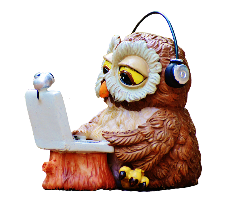 student owl