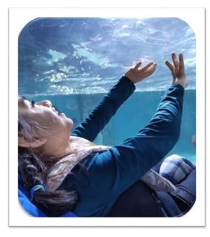 seaquest03.jpg 