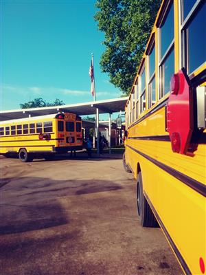  bus000 