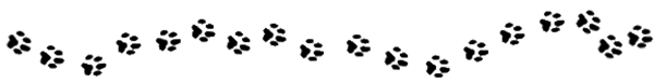 pawsdivider01 