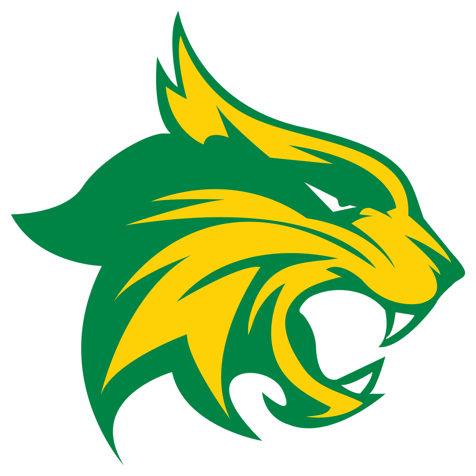 Benbrook Middle-High School