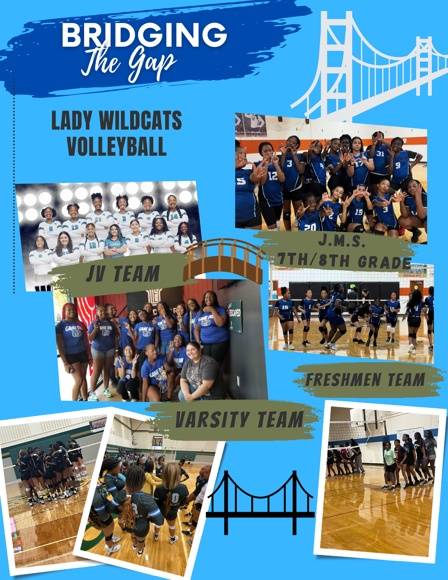 Lady Wildcats 