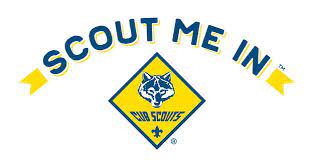 scouts