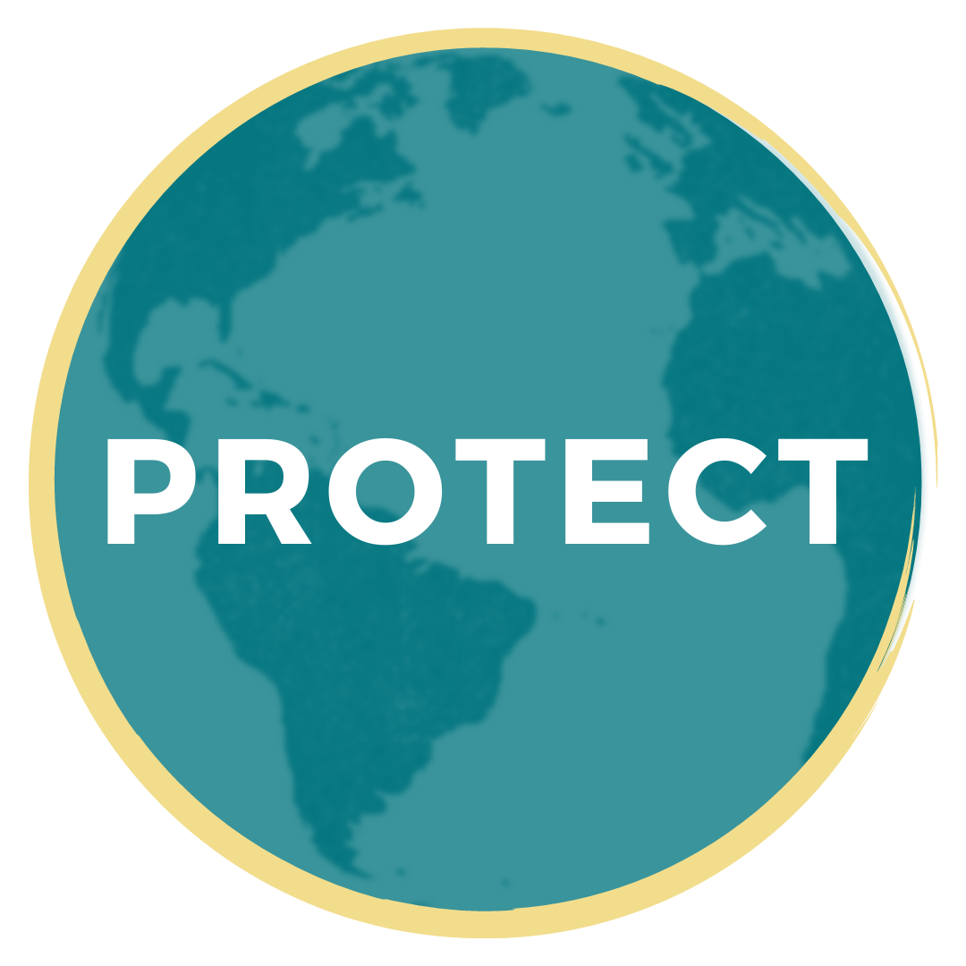 Protect logo Protect logo